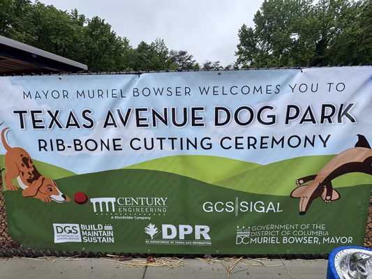 Washington Avenue Bark Park photo 2